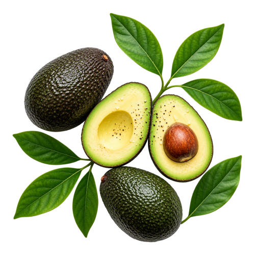 Frische Avocadohälfte mit Kern und Blättern