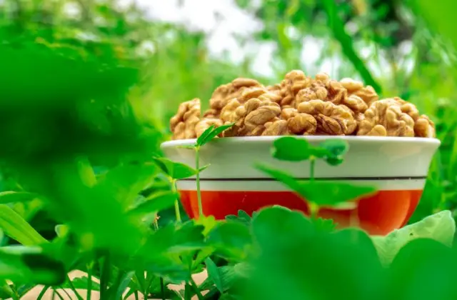 Handful of Walnuts &ndash; snack on the 7-Day Anti-Inflammatory Meal Plan