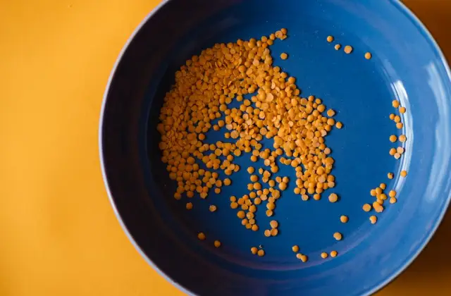 Lentil Stew, Round Two &ndash; lunch on the 7-Day DASH Diet Meal Plan