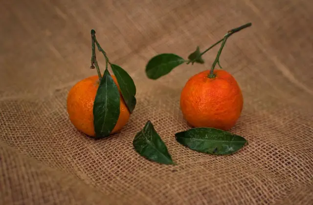 Satsuma &ndash; mid-morning on the 7-Day GLP-1 Meal Plan